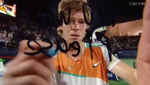 仅仅是队友 仅仅是队友